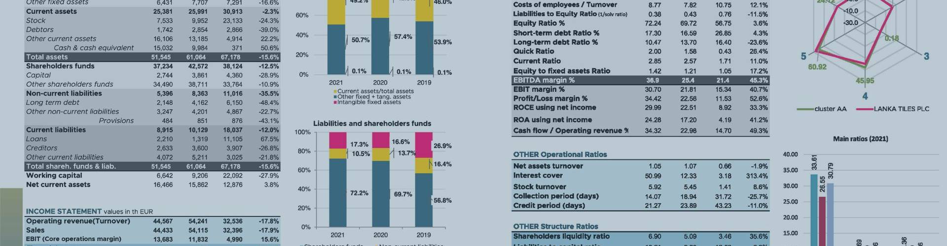 Two balance sheets compared: Porcelaingres VS Lanka Tiles
