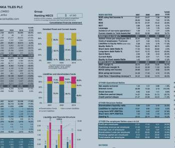 Two balance sheets compared: Porcelaingres VS Lanka Tiles